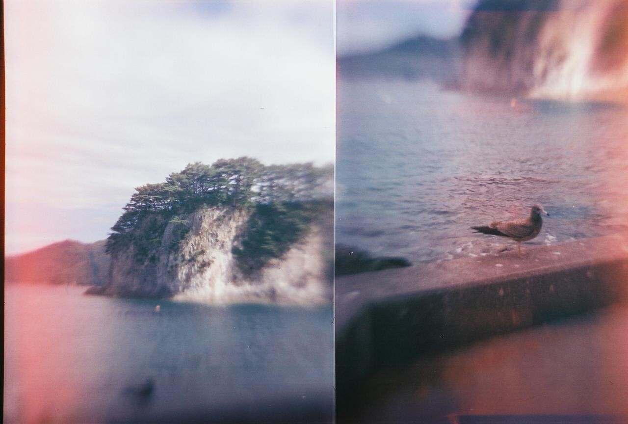 浄土ヶ浜 海とうみねこ